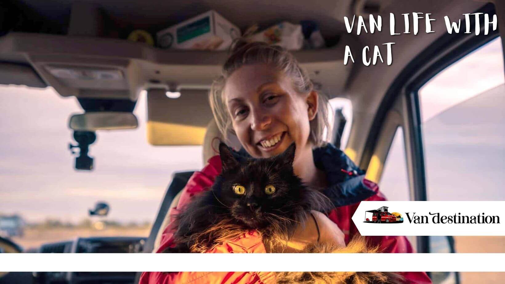 Van Life with a Cat