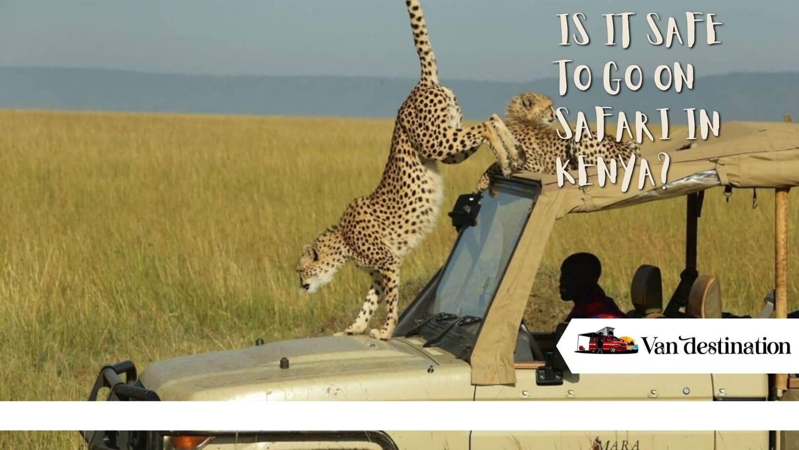 Is it Safe to Go on Safari in Kenya